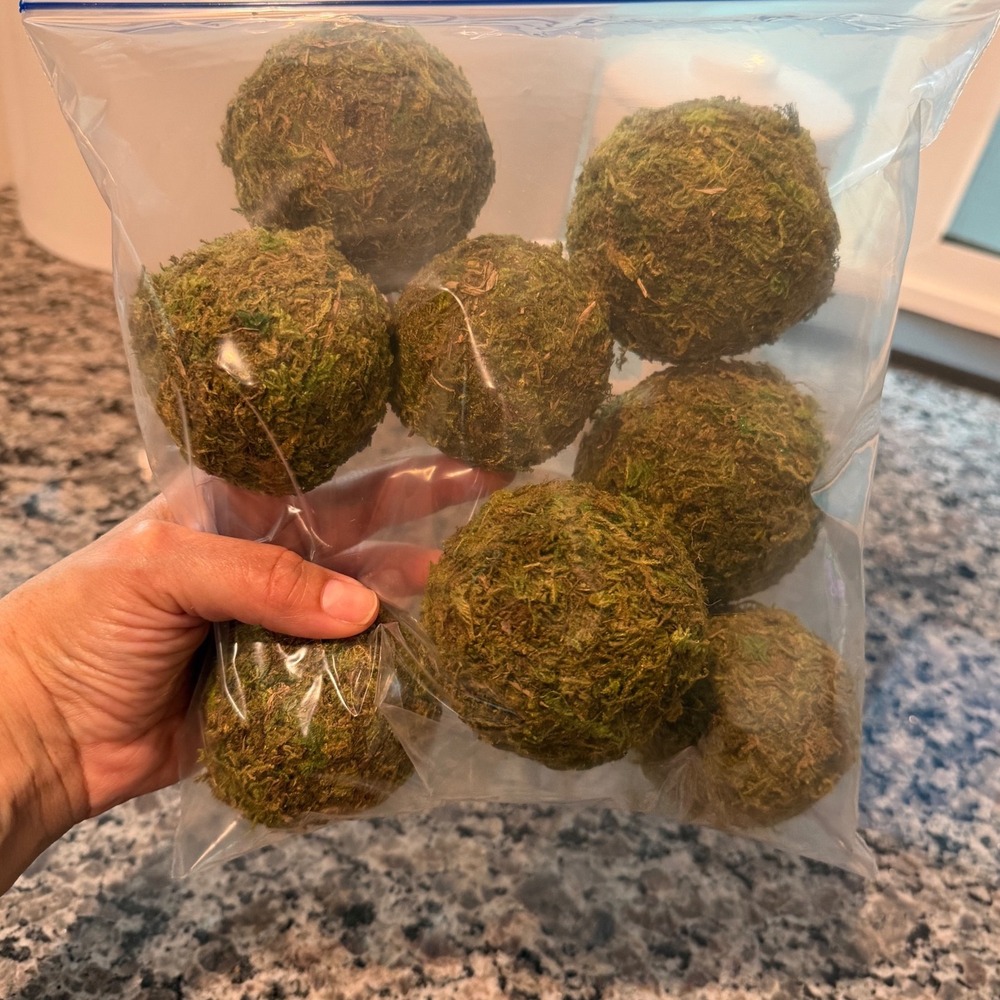 Set of 8 Decorative Green Moss Balls for Vases Bowls and Terrariums Home Decor
